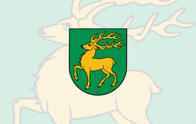 Brak zdjęcia.